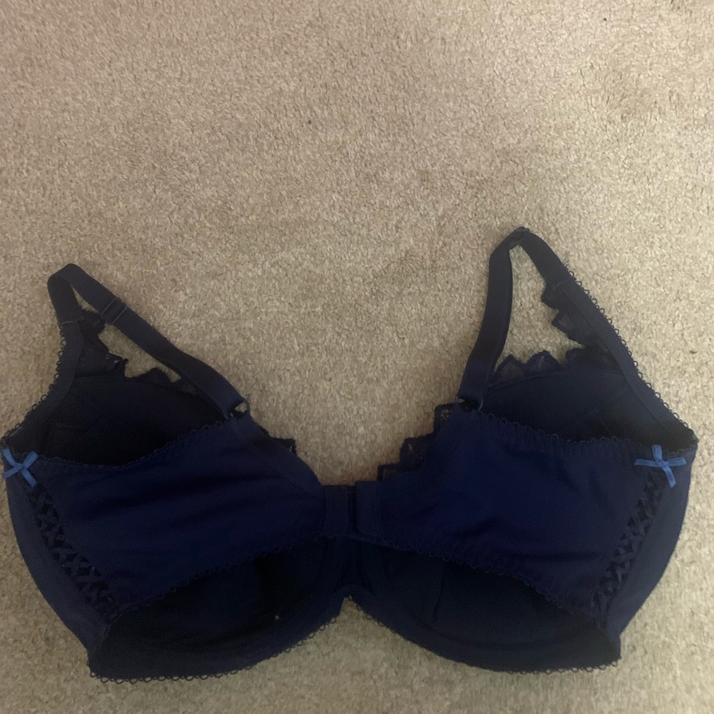 Lepel Blue bra. UK 36F.